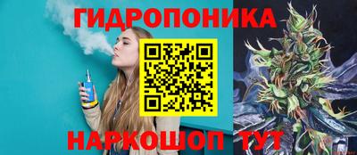 стафф Кинель
