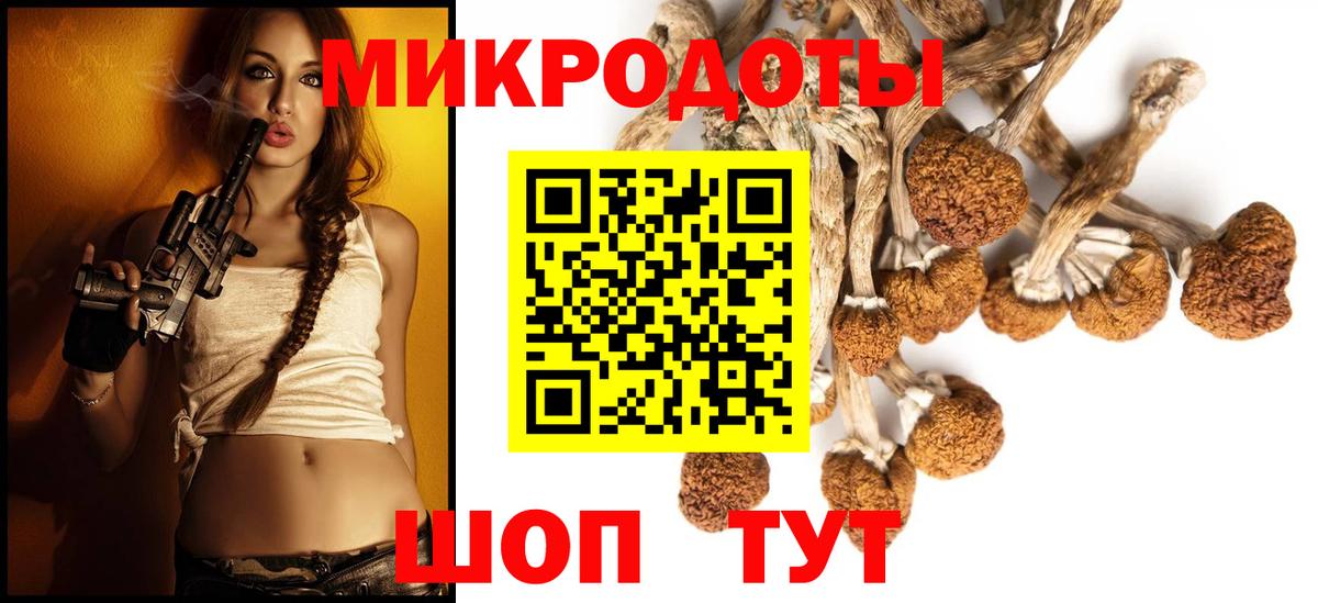 Галлюциногенные грибы Psilocybine cubensis  Вход с VPN  что такое   Троицк 